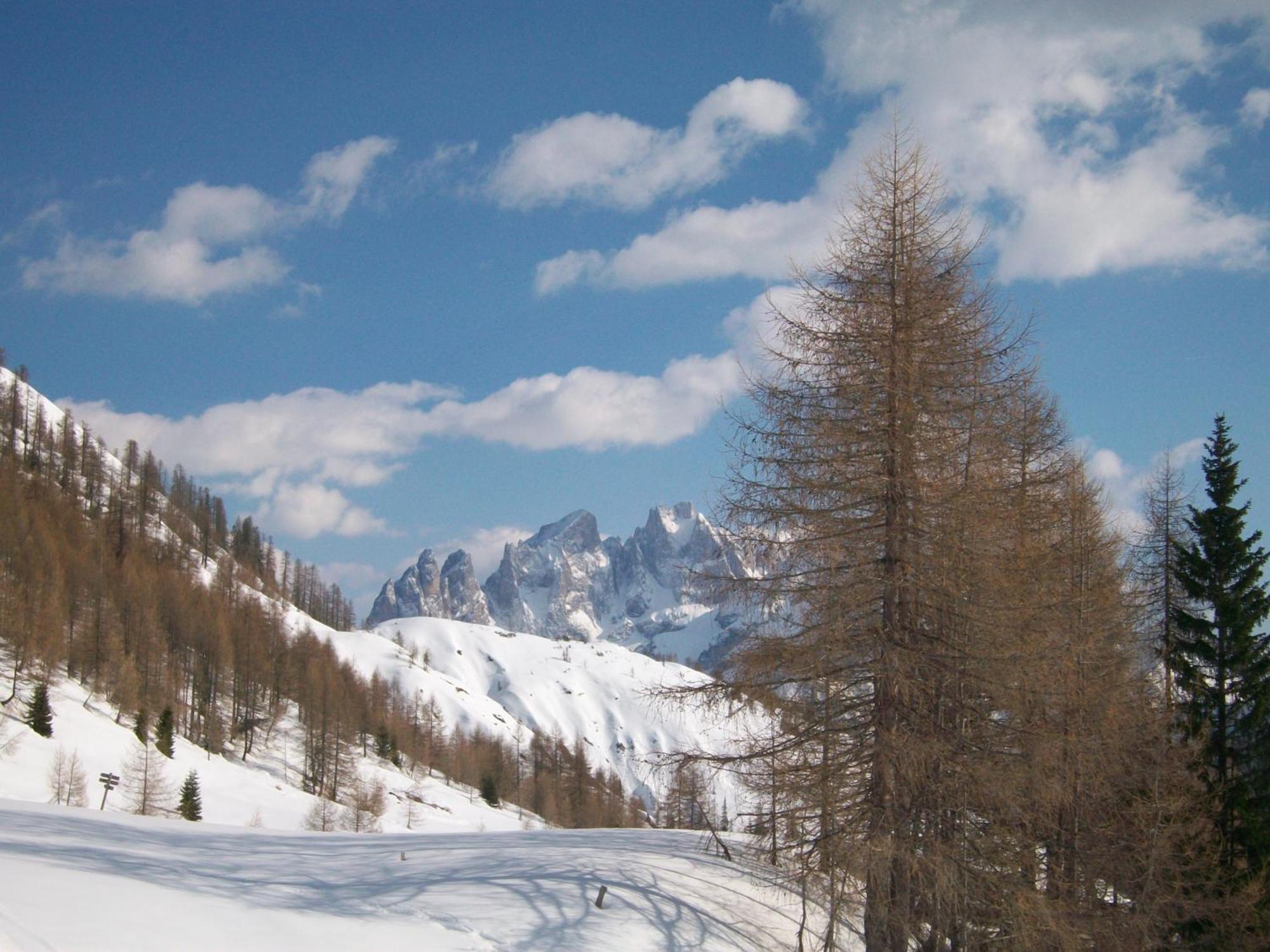 Hotel Pensione Dolomiti ファルカーデ エクステリア 写真