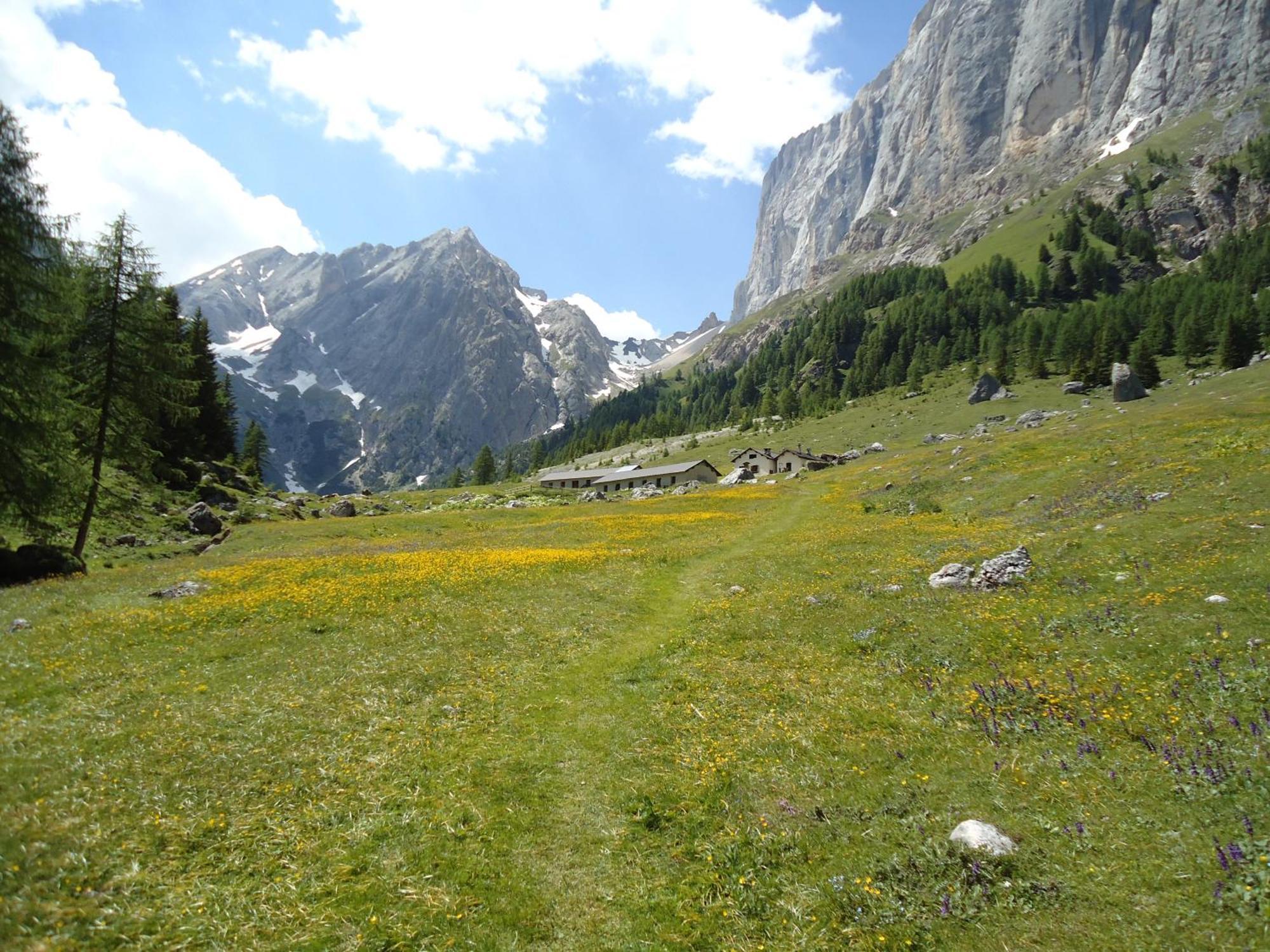 Hotel Pensione Dolomiti ファルカーデ エクステリア 写真