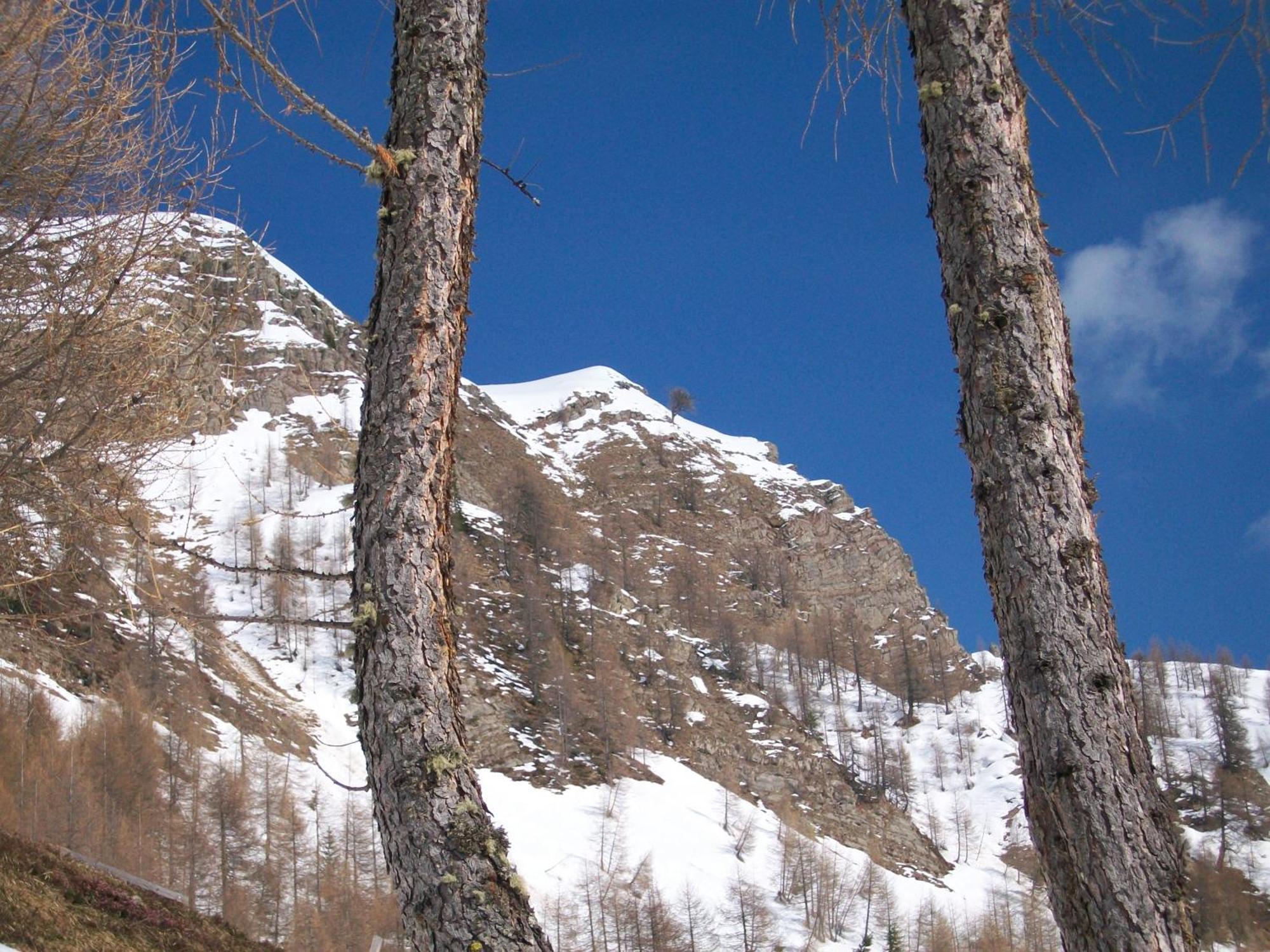 Hotel Pensione Dolomiti ファルカーデ エクステリア 写真